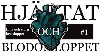 Åk 8 Blodomloppet del 1 Stora och lilla kretsloppet [upl. by Mariquilla]