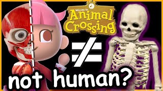 animal crossing mysteries that ARE STILL unanswered [upl. by Evered578]