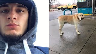 Man Trying To Help Dog Wandering Alone Freezes After Looking At His Tags [upl. by Lletnom532]