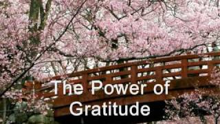 The Power of Gratitude [upl. by Ijneb]