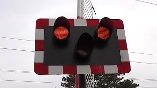 Level Crossing at Burrow Road Dublin [upl. by Naharba]