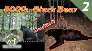 I Shot a 500 lb Black Bear in The Head  Wisconsin Bear Hunt 2024 [upl. by Yldarb514]