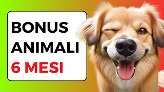 BONUS ANIMALI DOMESTICI in 6 mesi NOVITÀ 2024 [upl. by Inirt]