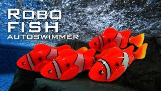 Unboxing RoboFish Autoswimmer [upl. by Aciraa]