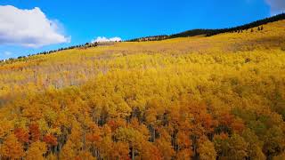 Kenosha Pass thru the eyes of a drone [upl. by Aihtniroc]