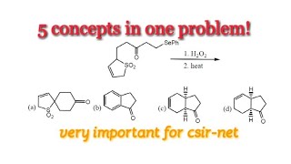 5 concepts in one problem  Very important for csirnet exam [upl. by Ainoda]