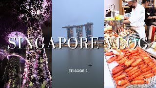 Singapore Vlog 🇸🇬  Fullerton Bay Hotel The RitzCarlton Colony Cloud Forest Singapore Zoo [upl. by Barney545]