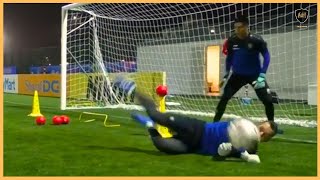 Professional Goalkeeper Training [upl. by Rehtaef273]