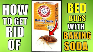 GET RID OF BED BUGS FAST WITH BAKING SODA [upl. by Marvin]