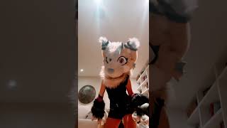 School furry furries fursuit fursona antizoo fursuiters fursuiter fursuiting fursuits [upl. by Valentine]