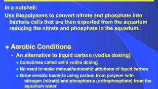 Biodegradable Polymers  DrTims Aquatics [upl. by Un]