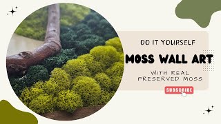 how to DIY Moss Wall Art  HandMade Preserved Moss Art  Wall Art for Livingroom [upl. by Wickman283]