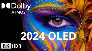 Oled Demo 2024 8K HDR 120FPS Demo OLED SONY Dolby AtmosVision [upl. by Eanil]