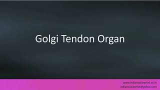 Pronunciation of the words quotGolgi Tendon Organquot [upl. by Natehc676]