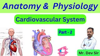 Cardiovascular System  Part 2  Structure  Functions  Study Help And Health By Dev Sir [upl. by Ainafetse]