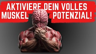 NEUROTYPEN TRAINING  DAS ist DEIN perfektes Training Muskelaufbau nach Typ [upl. by Nosirrag]