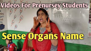 SENSE ORGANS NAME  Sense Organs sense organs types sense organs name [upl. by Yerak309]