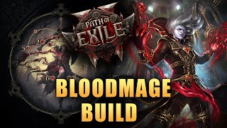 Witch BloodMage Build Guide Act 2  Path Of Exile 2 [upl. by Stefano]