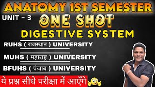 ONE SHOT ANATOMY REVISION CLASS I B Sc NURSING DIGESTIVE SYSTEM IN HINDI  NURSING LECTURE 2024 [upl. by Vilhelmina]