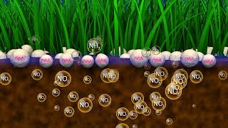 Boost Fertilizer Performance with Kimleigh Chemicals SAs Urease and Nitrification Inhibitors [upl. by Alexandrina]