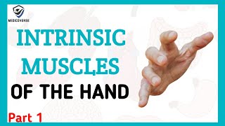 Muscles of the hand  Origin  Insertion and Action  Intrinsic muscles  Part 1 [upl. by Florina]