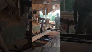 kayu keruing kapur sawmill [upl. by Iznek]