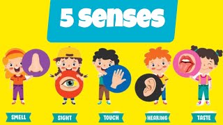 Five Senses Song for Kids  learn about sense organs  learning videos for toddlers fun bodyparts [upl. by Crystie]