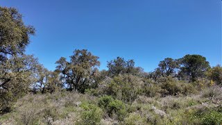 Habitats of Testudo hermanni hermanni in Catalonia Spain [upl. by Checani813]