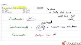 True coelom or body cavity occurs in [upl. by Jermain]