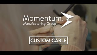 Custom Cable Manufacturing Services  Momentum Manufacturing Group [upl. by Dnomder]