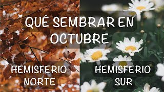 Qué sembrar en OCTUBREhemisferios Norte y Sur🍂🍃 [upl. by Cosmo489]