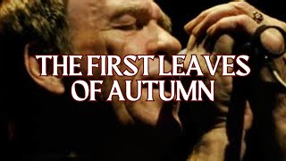 The First Leaves Of Autumn │ Finbar Furey [upl. by Dimmick]