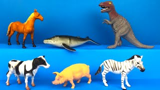 Animal Planet Animal World Mega Bag  Sea Safari with dinosaurs lion zebra rhino cheetah antelope [upl. by Nelaf794]