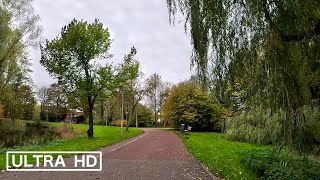 Cycling in Amsterdam 16  Autumn [upl. by Shinberg]