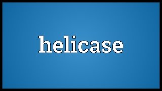 Helicase Meaning [upl. by Richart]