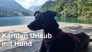 Kärnten  SommerUrlaub mit Hund in Österreich [upl. by Seaman]