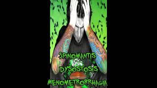 Phyllomedusa  Spinomantis Dysostosis Menometrorrhagia cover [upl. by Ikin]