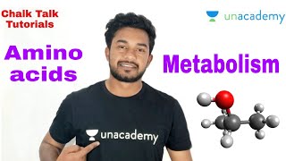 part 1 Amino acids metabolism protein metabolism Farman khan [upl. by Savick]