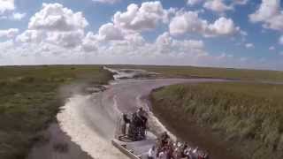 Everglades Airboat Ride at Gator Park Miami [upl. by Mosa314]