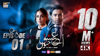 Aye Ishq e Junoon Episode 1  Ushna Shah  Sheheryar Munawar  11th Nov 2024 Eng Sub  ARY Digital [upl. by Binny111]