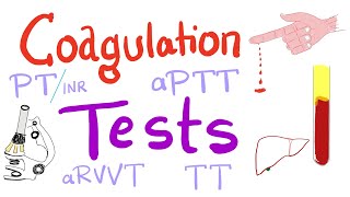 Coagulation Tests  PT aPTT TT Fibrinogen Mixing Studies [upl. by Nathanael]