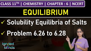 Class 11th Chemistry  Solubility Equilibria of Salts  Problem 626 to 628  Chapter 6  NCERT [upl. by Rentsch]