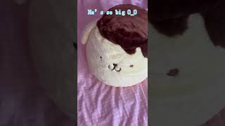 Mercari Japan haul cutecore sanrio kawaii cinnamoroll [upl. by Nwahsit]