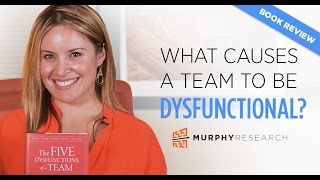 What Causes a Team to Be Dysfunctional  Murphy Research [upl. by Anelis]