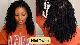 Mini Twist Tutorial Natural Hair  Curly Hairstyles Protective Style [upl. by Manup]