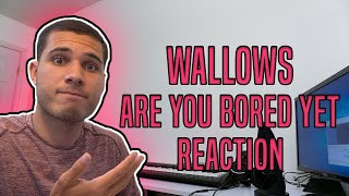 Wallows  Are You Bored Yet REACTION [upl. by Ojimmas]