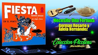 Necesito Una Fortuna  German Rosario Y Adela Hernández  Música Picotera [upl. by Nunciata19]