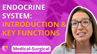 Endocrine Introduction amp Key functions  MedicalSurgical  Endocrine  Level Up RN [upl. by Hoebart]