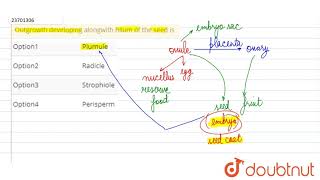 Outgrowth developing alongwith hilum of the seed is [upl. by Ecenaj217]
