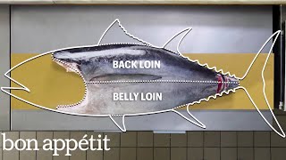 How To Butcher a Whole Tuna Every Cut of Fish Explained  Handcrafted  Bon Appétit [upl. by Landahl]